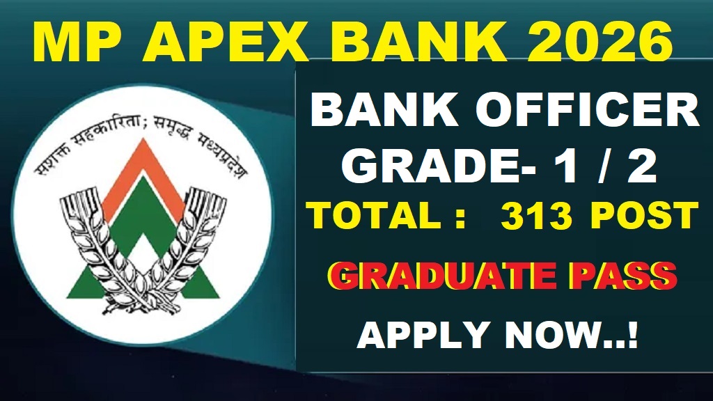 MP APEX BANK 2026